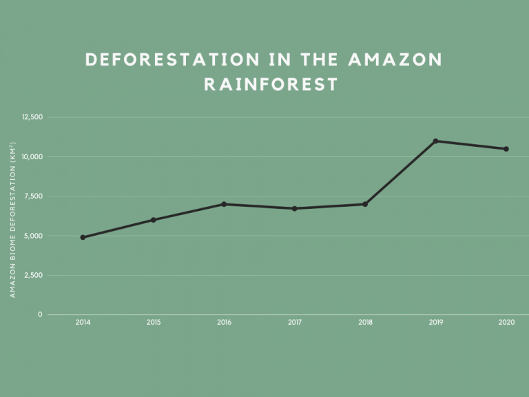 Research reveals that leather production is the largest contributor to ...